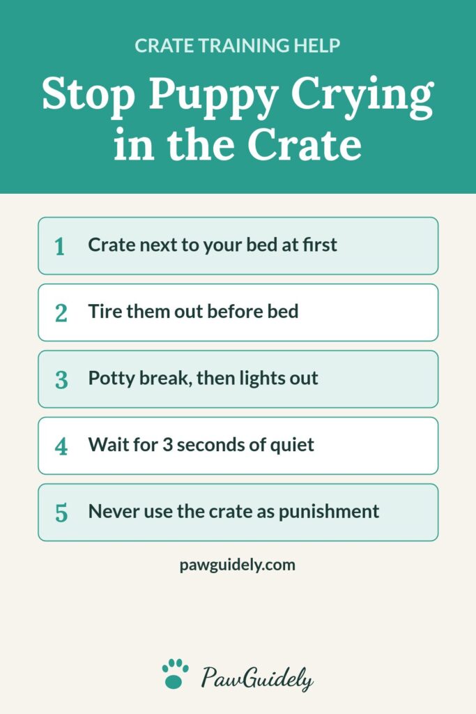Pinterest graphic: how to stop a puppy crying in the crate