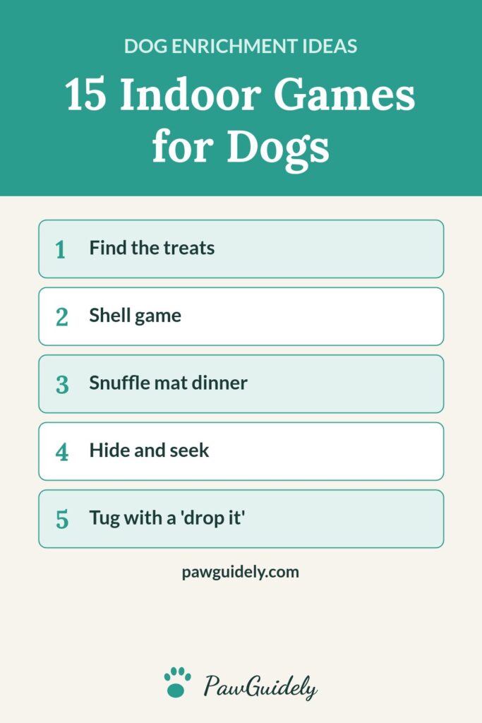 Pinterest graphic: indoor games for dogs