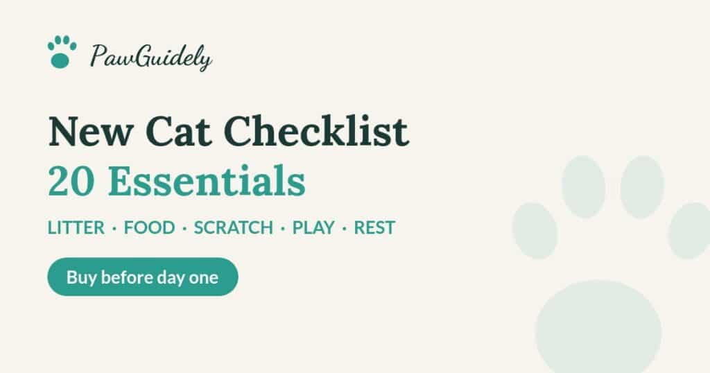 New cat checklist: 20 essentials to buy before your cat comes home