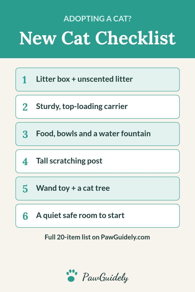 Pinterest pin: new cat checklist of essentials
