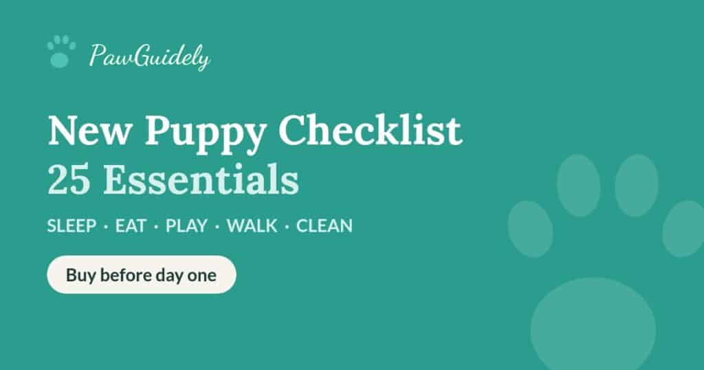 New puppy checklist: 25 essentials to buy before your puppy comes home